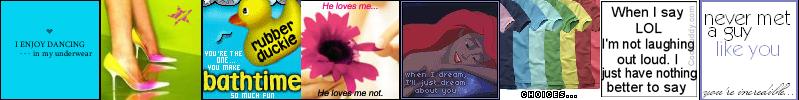 banner6.jpg